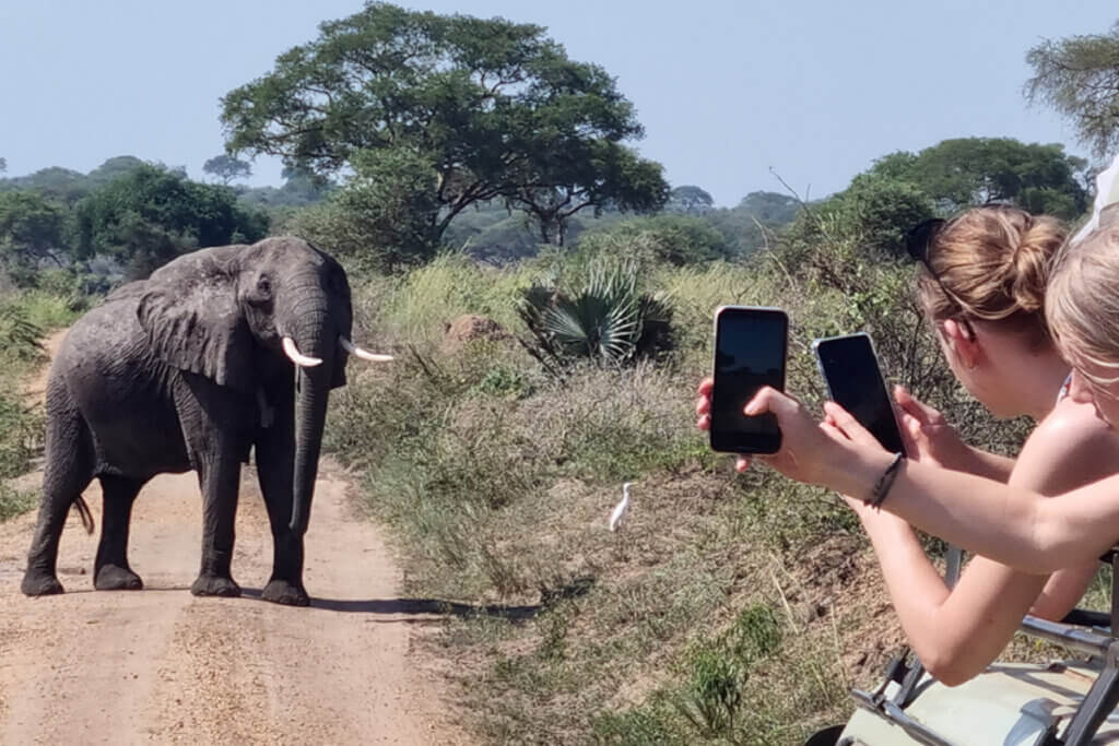What to Expect on African Safari Tours in East Africa Two tourists of Ebonjalo photographing an Elephant that crossed the road in Murchison Falls National Park