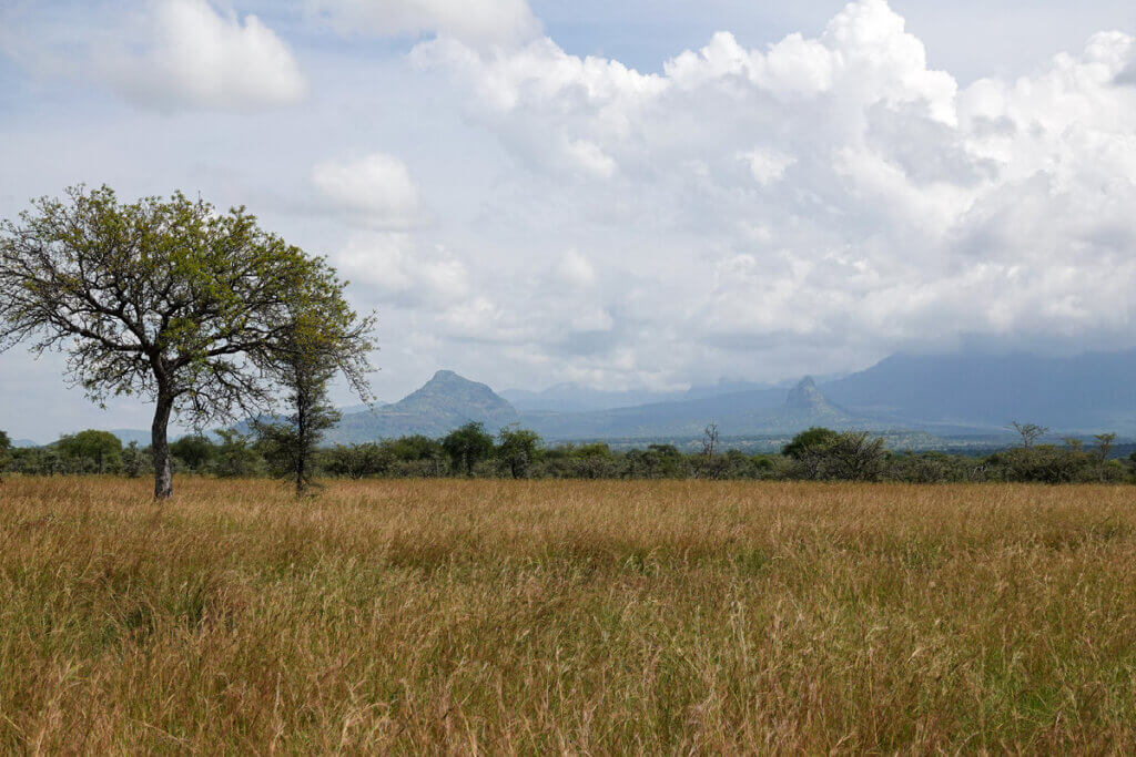 Karamoja Uganda: History, People and Culture of the Warrior Nomads Overviews of the plains of Karamoja Uganda as seen during a Uganda safari from the slopes of Mount Kadam