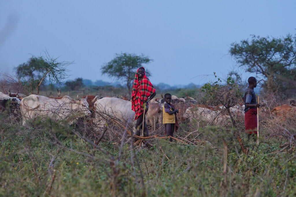 East Africa Travel Stories