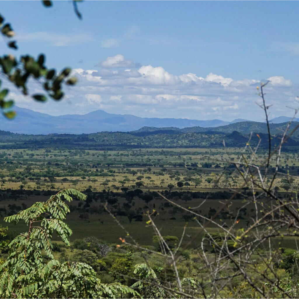 Uganda and Kenya Safari Destinations Kidepo Valley National Park is one of the most remote parks of Uganda