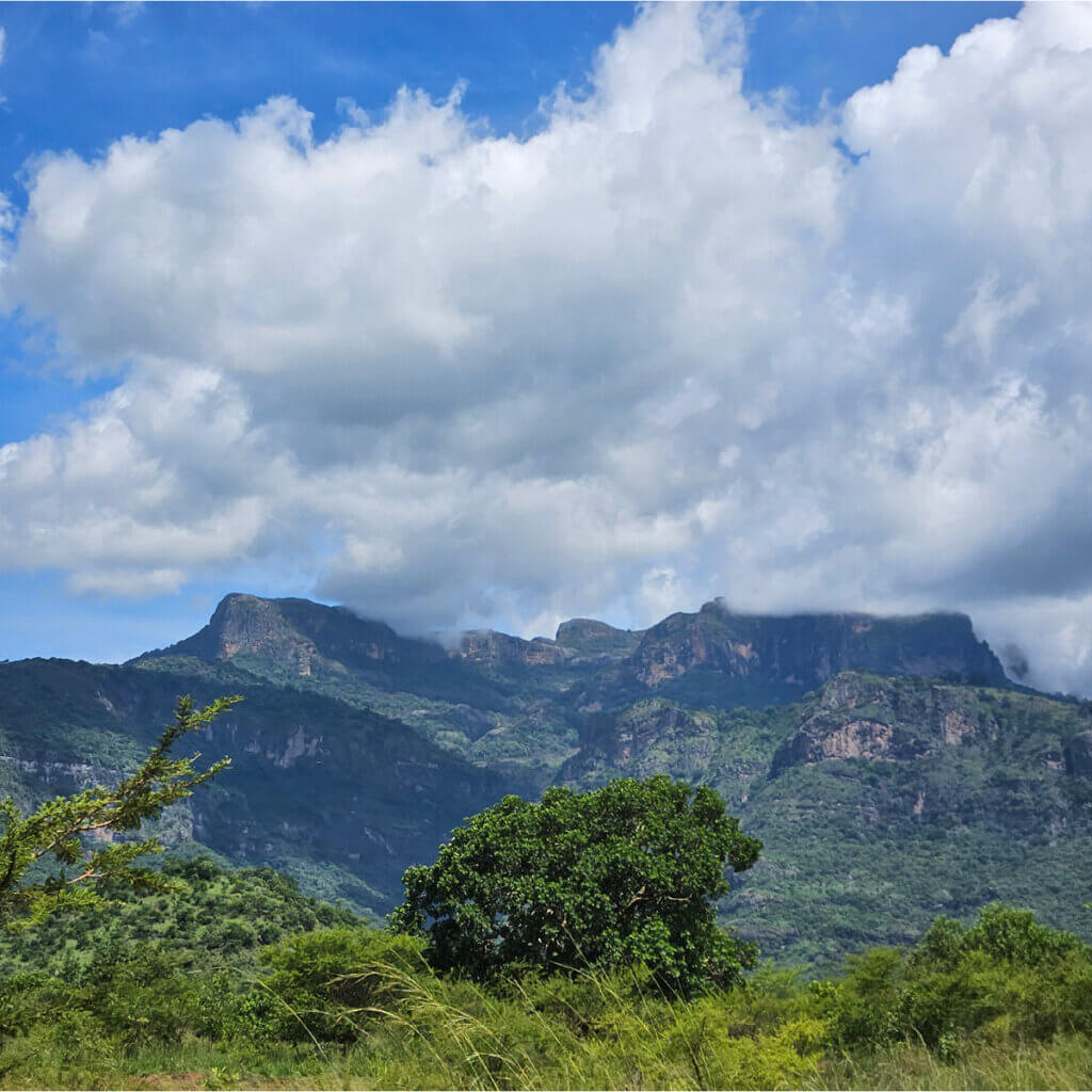 Uganda and Kenya Safari Destinations Mount Kadam is one of the table mountains of Uganda