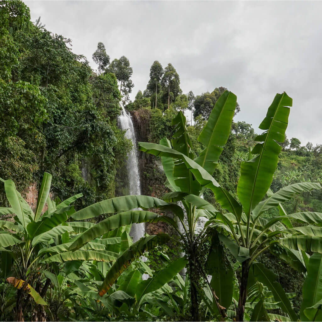Uganda and Kenya Safari Destinations Sipi falls is one of the Uganda Safari Destinations that can be visited with Ebonjalo